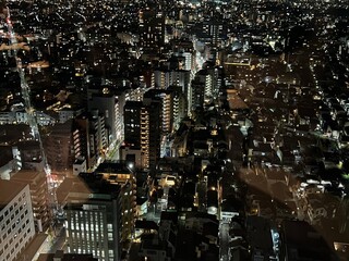 世田谷区の高層ビルから見下ろす東京の夜景