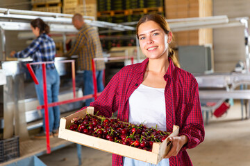 Portrait of smiling young female farm worker showing freshly harvested ripe sweet cherries in crate in sorting room of warehouse