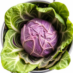 Obraz premium Close-up of a delicious organic cabbage in stainless steel colander isolated on the white background