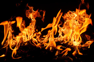 Fire flame background. Hell bonfire. Texture of fire on a black background. Blaze flames background...
