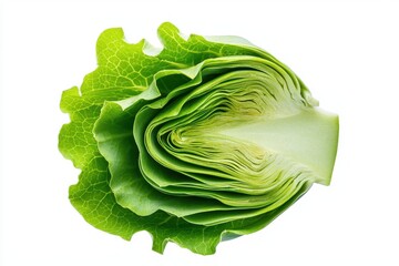 Fototapeta premium Halved Artichoke with Layered Leaves in Light Green Hue