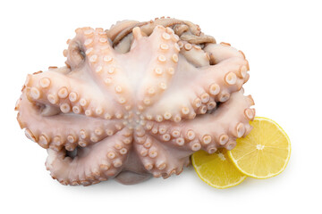 One fresh raw octopus and lemon slices isolated on white, top view