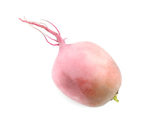One fresh ripe turnip isolated on white, top view