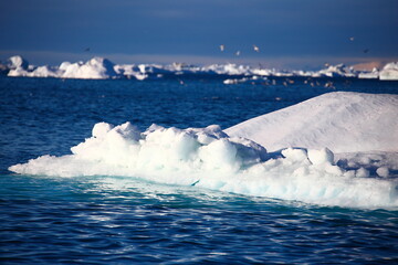 Beautiful Greenland icebergs in the Arctic in autumn