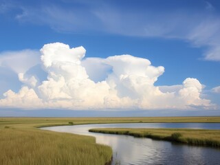 Obraz premium A forest with a lake and a large, fluffy white cloud in the sky above