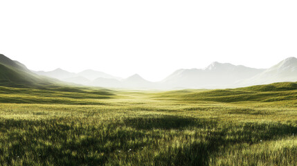 Obraz premium Expansive highland plateau with lush grassy plains at dusk