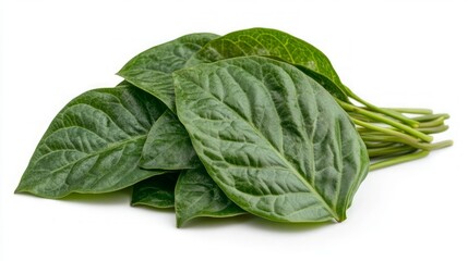 Obraz premium Close-up of a pile of fresh, green leaves isolated on a white background.