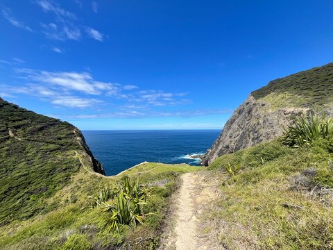 Cape Brett Hiking Track