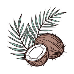A Beautiful color Coconut icon vector on white background, Coconut icon