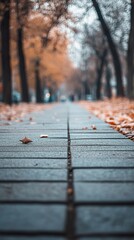 Fototapeta premium Autumnal Path: A Serene Walkway Through Golden Leaves