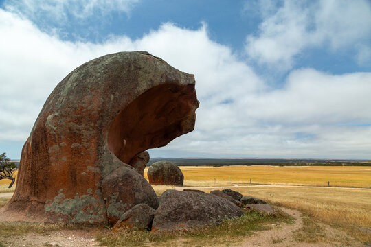 Inselberg rock formations known as Murphy's Haystacks in a wheat field.