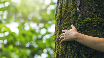 Closeup hands touching a tree with moss in the forest. Environmental concept. Nature conservation. Environmental protection. Forest ecology. World environment day. Forest nature. Green background.