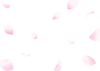 Fototapeta premium 桜の花びら舞う背景素材