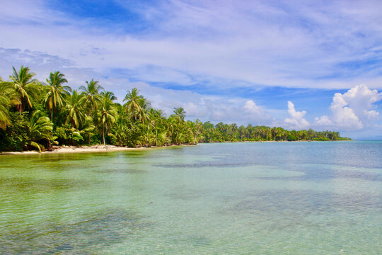 a tropical beach with lush palm trees and clear lagoon bocas del torro panama