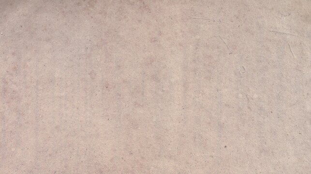 This grunge paper sheet is dated 1806 from Germany, with grungy half joss and ancient half bison hide colours. Features a worn aged paper parchment and the image has no people. Textured.