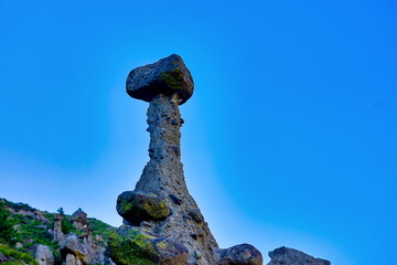 A stunning collection of unique stone mushrooms crafted by nature, nestled in a picturesque...