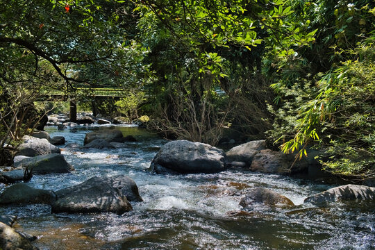 Clear mountain stream and bridge in the dense forest of Wang Ta Krai (Takhrai, Takrai) Park in Nakhon Nayok, Thailand. 