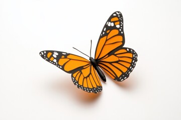 Obraz premium colorful butterfly on a light background
