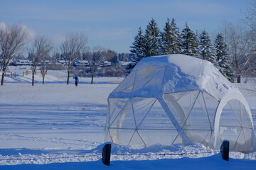 Winter, snow, nature, shelter