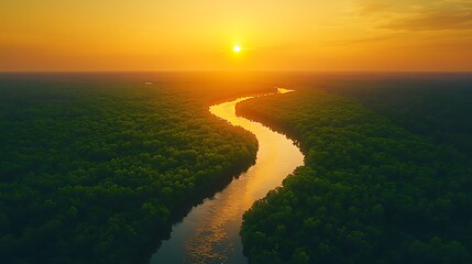 Fototapeta premium A golden hour aerial view of a winding river cutting through dense green forests