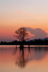 The pink evening sky and the reflection of the trees on the water surface