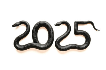 Fototapeta premium Creative year 2025 design with black snake figures for new year celebrations