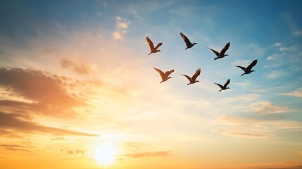 Obraz premium birds flying in the sunset