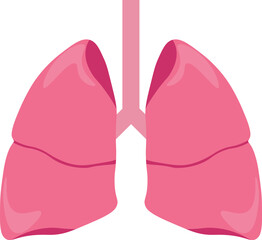 Human lungs vector design.