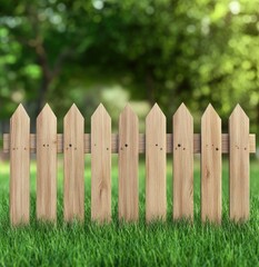 Fototapeta premium Wooden fence with pointed top surrounded by lush grass under natural lighting creating a serene outdoor atmosphere