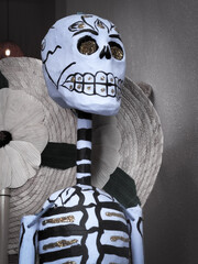 Skull, paper mache skeleton