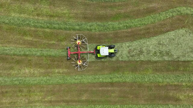 Tractor with rotor rake used to create windrow ridge of cut silage crop, aerial