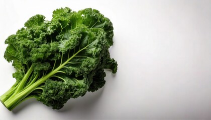 Fototapeta premium Vibrant Green Kale Bunch 