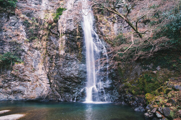 Fototapeta premium [OSAKA]Natural waterfall spot located in northern Osaka, Beautiful waterfall scenery, Minoo Falls, Japan