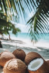 Coconuts on Beach