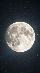 Fototapeta premium Full moon close-up vector art showcasing intricate lunar textures.
