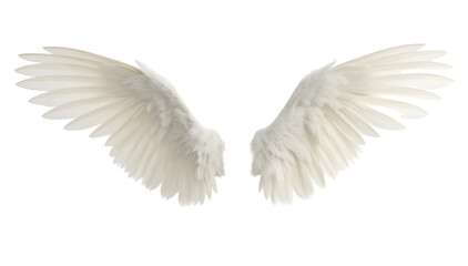 Fototapeta premium angel wings, gracefully spread with fine feather details, smooth gradients from white to soft cream, set against a transparent background
