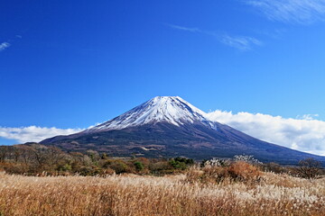 The trees leaves on the mountains were starting to change color