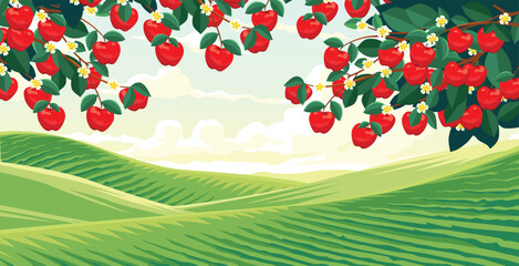 Beautiful rural scenery with rolling hills and apple trees bearing fruit. 