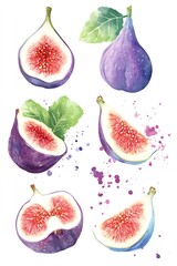Watercolor figs: A vibrant collection of whole and sliced figs, showcasing their juicy interior and purple hues.