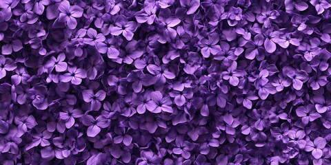 Fototapeta premium A vibrant tapestry of purple blossoms, a rich display of nature's artistry.