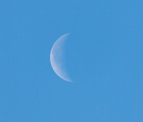 A large moon is visible in the sky, shining brightly against the blue backdrop