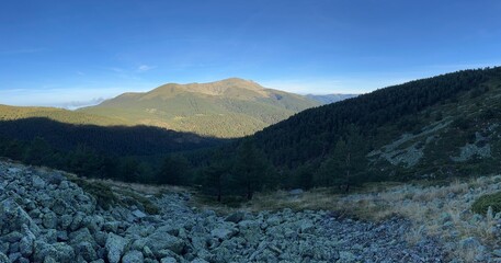 Mountain range with dense pine forest and rocky foreground under a bright blue sky.