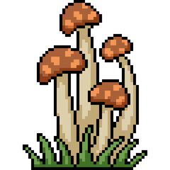 Obraz premium pixel art of eatable mushroom vegetable