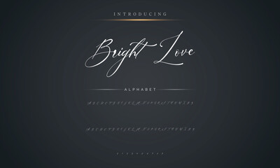Signature Font Calligraphy Logotype Script Brush Font Type Font lettering handwritten