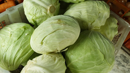 Fototapeta premium pile of fresh cabbage in the market