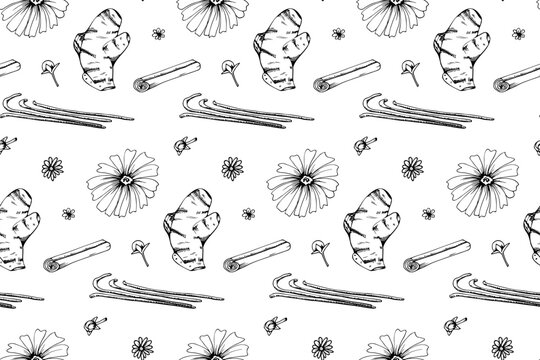 Seamless pattern with hand drawn herbs and spices elements. Kitchen herbs and spices. Vector illustration.