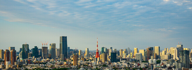 Panoramic aerial view of Tokyo city and Tokyo Tower illuminated by sunlight, showcasing a vibrant and dynamic city atmosphere. Banner panorama Background