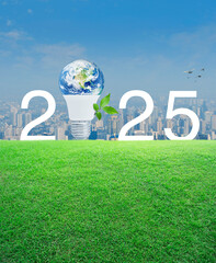 Earth globe inside led light bulb with leaves and 2025 letter on green grass over city tower, Happy new year 2025 ecology saving power and energy concept, Elements of this image furnished by NASA