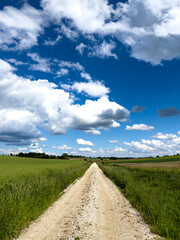 Obraz premium A road of pleasure during Spring time with blue sky and clouds 