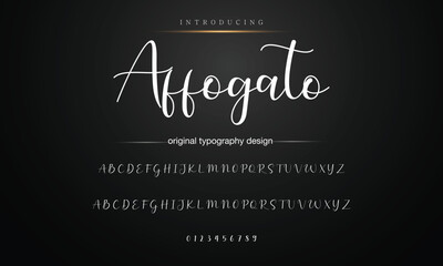 Hand drawn vector alphabet.signature script font. Elegant Signature Font. Best Alphabet Beautiful Calligraphy Signature Font lettering